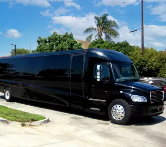 Mini Bus